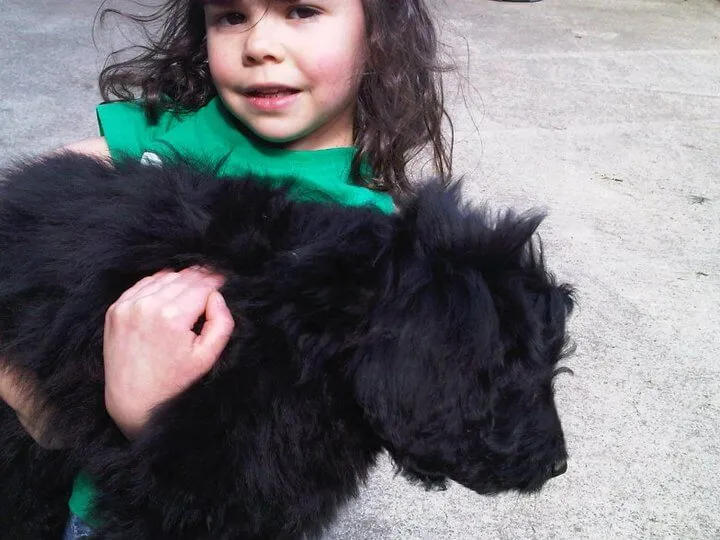 Child with dog